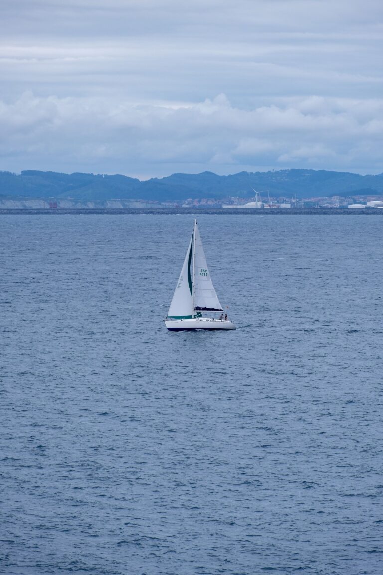Sailboat with full sails on open water, representing industries with long-term tailwinds