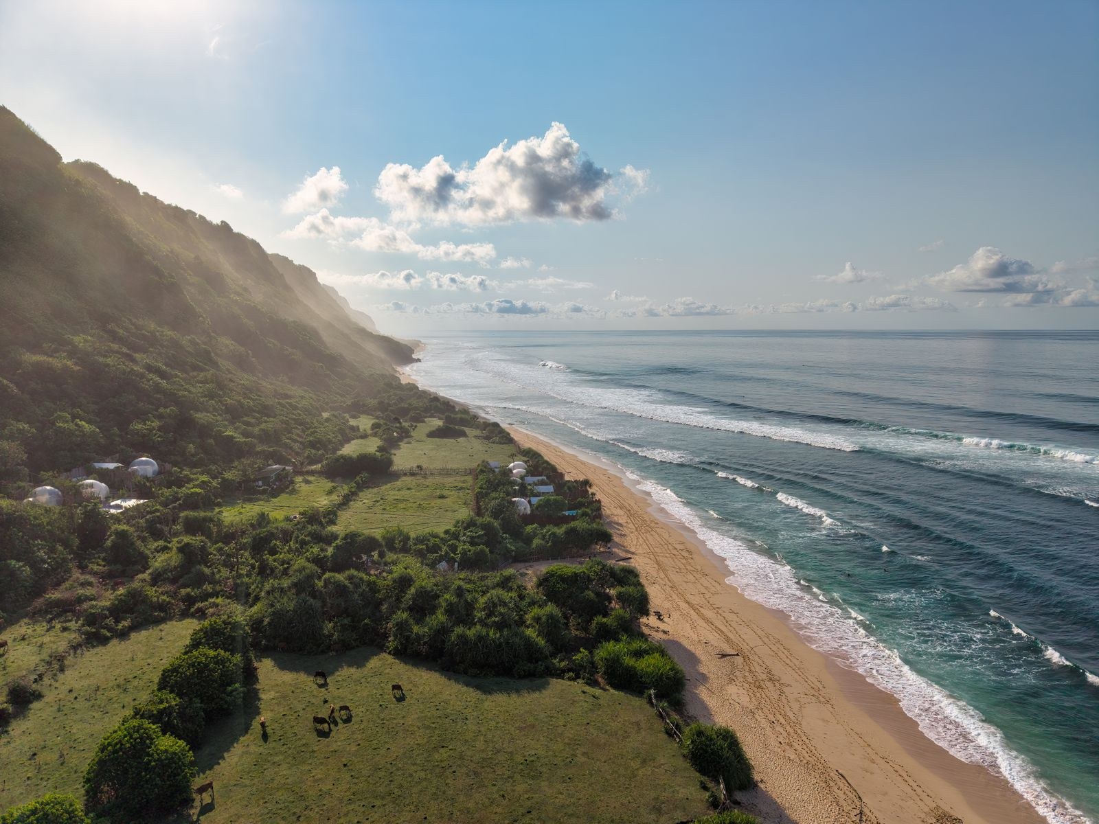 Quiet tropical shoreline at soft morning light suggesting a calm Asia retirement lifestyle