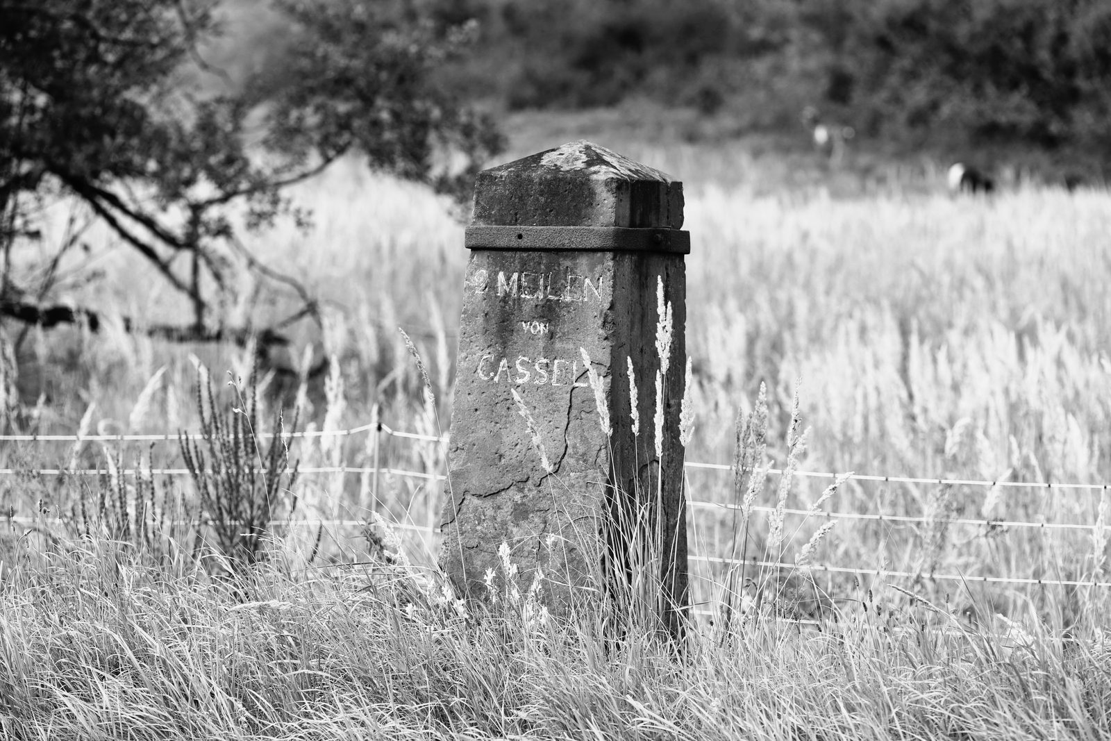Weathered stone milestone in a grassy meadow, representing the RMD age milestone of 73 or 75
